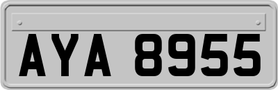 AYA8955
