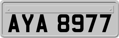 AYA8977