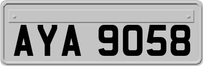 AYA9058