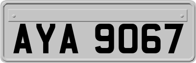 AYA9067
