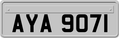 AYA9071