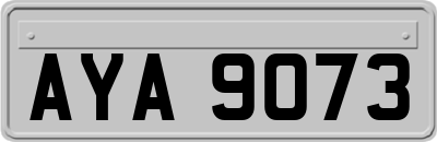 AYA9073