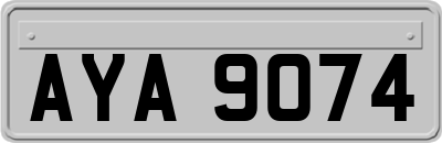 AYA9074