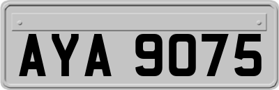 AYA9075
