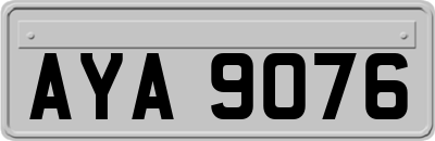 AYA9076
