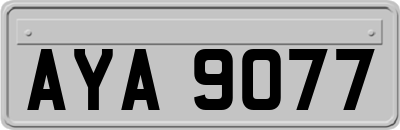 AYA9077