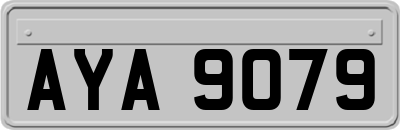 AYA9079
