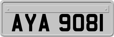 AYA9081