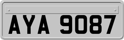 AYA9087