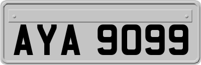 AYA9099