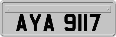 AYA9117
