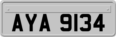 AYA9134