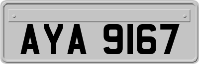 AYA9167