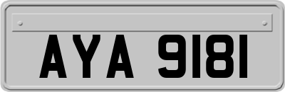 AYA9181