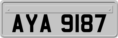 AYA9187