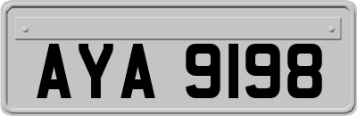 AYA9198