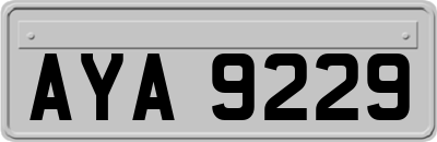 AYA9229