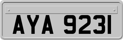 AYA9231