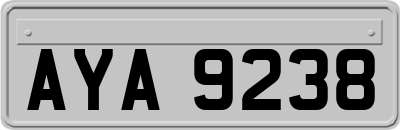AYA9238