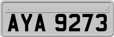 AYA9273
