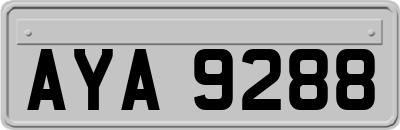 AYA9288