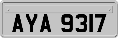 AYA9317