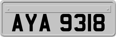 AYA9318