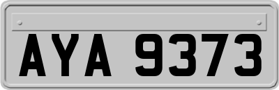 AYA9373