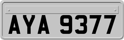 AYA9377