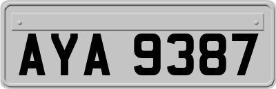 AYA9387