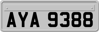 AYA9388