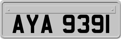 AYA9391