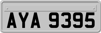 AYA9395
