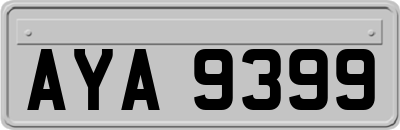 AYA9399