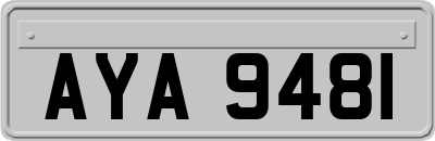 AYA9481