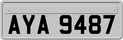 AYA9487