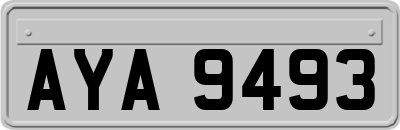AYA9493