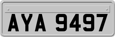 AYA9497