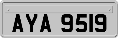 AYA9519