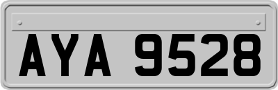 AYA9528