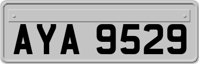 AYA9529