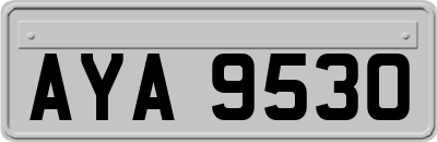 AYA9530