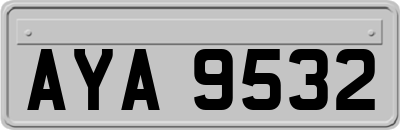 AYA9532