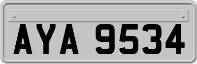 AYA9534