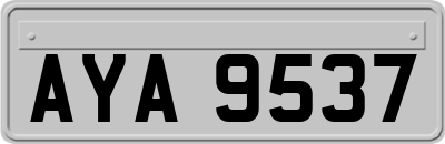AYA9537