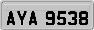 AYA9538