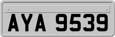 AYA9539