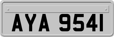 AYA9541