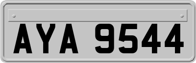 AYA9544