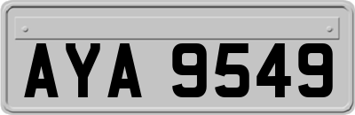 AYA9549